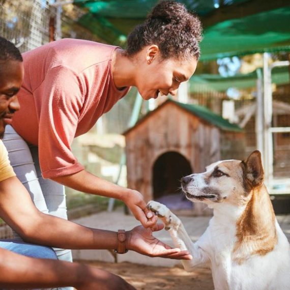 black-couple-love-or-petting-dog-in-animal-shelte-2023-11-27-04-58-48-utc-800x564